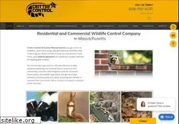 Sites similar to crittercontrolofcentralma.com