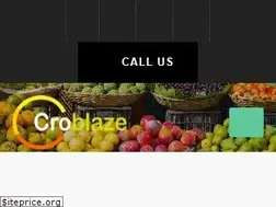 Sites similar to croblaze.com