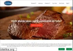 Sites similar to croma.nl