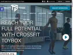 Sites similar to crossfittoybox.com