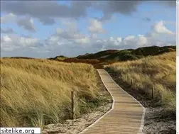 Sites similar to csafm.de