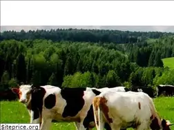 Sites similar to csengotej.hu