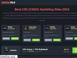 Sites similar to csgofly.com