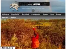 Sites similar to csincsilla.hu