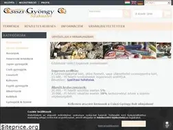 Sites similar to csiszi.com