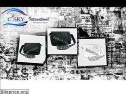 Sites similar to cskyintl.com