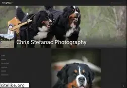 Sites similar to csphotoonline.com