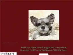 Sites similar to csralifesaver.com