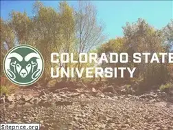 Sites similar to csuelc.org
