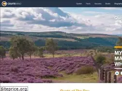 Sites similar to csuitemind.com