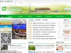 Sites similar to csxfc.com