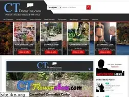 Sites similar to ctdomains.com