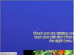 Sites similar to ctpsf.com