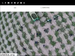 Sites similar to cuatrorayas.es