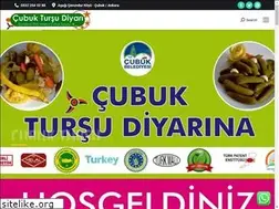 Sites similar to cubuktursu.com