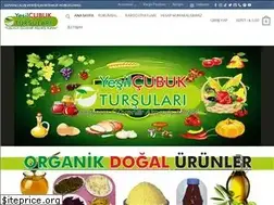 Sites similar to cubuktursulari.com