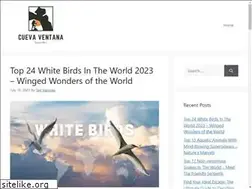 Sites similar to cuevaventanapr.com
