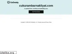 Sites similar to cukurambarnakliyat.com
