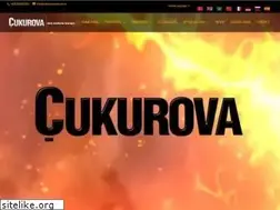 Sites similar to cukurovaziraat.com.tr