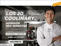 Sites similar to culinary.cl