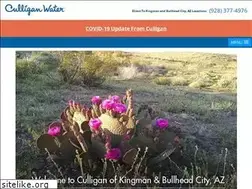 Sites similar to culligankingman.com