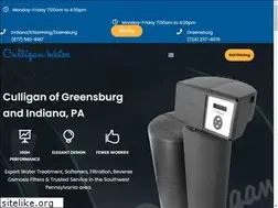 Sites similar to culliganman.biz