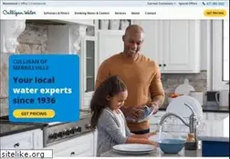 Sites similar to culliganofmerrillville.com