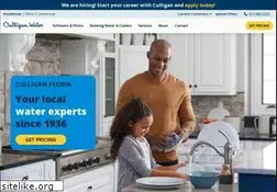 Sites similar to culliganofpeoria.com