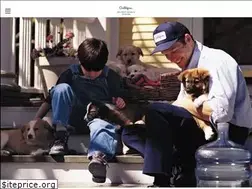 Sites similar to culliganofshawano.com