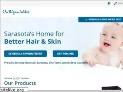 Sites similar to culligansarasota.com