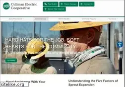 Sites similar to cullmanec.com