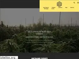 Sites similar to culta.io