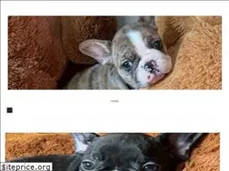 Sites similar to cuponius.com.ar