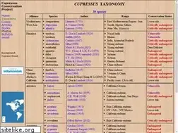 Sites similar to cupressus.net