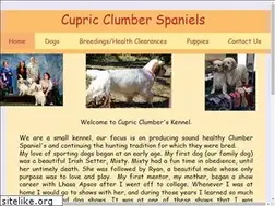 Sites similar to cupricclumbers.com