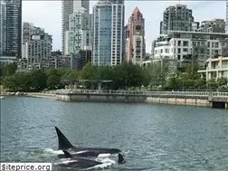 Sites similar to cupw-vancouver.org