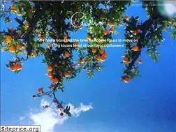 Sites similar to curioconcept.com