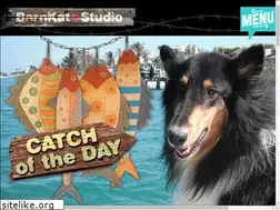 Sites similar to curiositykilledthekat.com