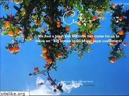 Sites similar to curiostore.com