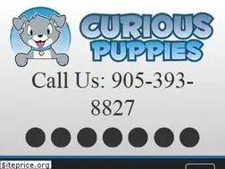 Sites similar to curiouspuppies.com
