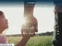 Sites similar to currimjee.com