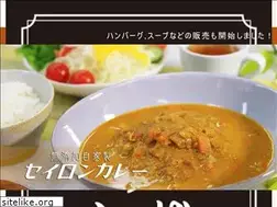 Sites similar to curry-daiju.shop