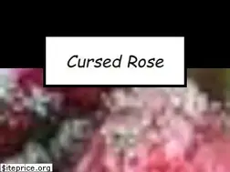 Sites similar to cursedrose.com