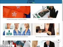 Sites similar to cursosdelsenasofiaplus.com