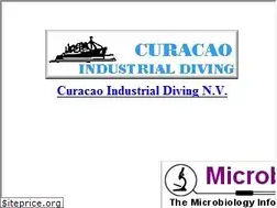 Sites similar to curweb.com