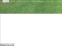 Sites similar to customgolfsolutions.com