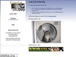 Sites similar to cutecat.com