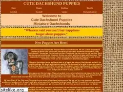 Sites similar to cutedachshundpuppies.com
