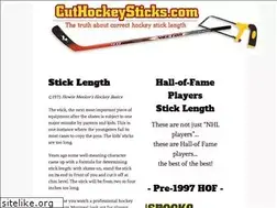 Sites similar to cuthockeysticks.com