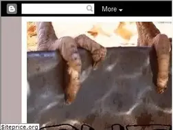 Sites similar to cutnpasteyoface.blogspot.com